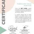 Acercar imagen: certificate 15