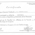 Acercar imagen: certificate 13