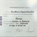 Acercar imagen: certificate 1