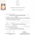 Acercar imagen: certificate 3