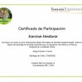 Acercar imagen: certificate 5