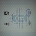 Acercar imagen: certificate 9