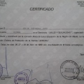 Acercar imagen: certificate 14