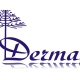 Carlos Palma Ducommun