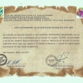 Acercar imagen: certificate 27