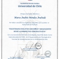 Acercar imagen: certificate 14