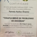 Acercar imagen: certificate 3