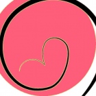  Carolina Alvarado Riquelme