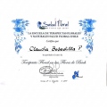 Acercar imagen: certificate 16