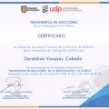 Acercar imagen: certificate 4