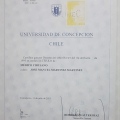 Acercar imagen: certificate 15