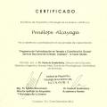 Acercar imagen: certificate 5