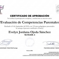 Acercar imagen: certificate 2