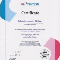 Acercar imagen: certificate 4