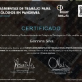 Acercar imagen: certificate 4