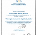 Acercar imagen: certificate 15