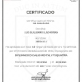 Acercar imagen: certificate 4