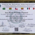 Acercar imagen: certificate 3