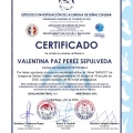 Acercar imagen: certificate 7
