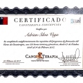 Acercar imagen: certificate 3