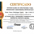 Acercar imagen: certificate 9