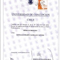 Acercar imagen: certificate 23
