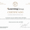 Acercar imagen: certificate 3