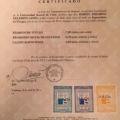 Acercar imagen: certificate 2