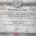 Acercar imagen: certificate 5
