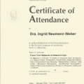 Acercar imagen: certificate 2