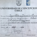 Acercar imagen: certificate 8