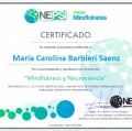 Acercar imagen: certificate 4