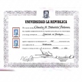 Acercar imagen: certificate 8