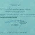 Acercar imagen: certificate 23