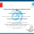 Acercar imagen: certificate 27