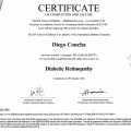 Acercar imagen: certificate 26