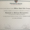 Acercar imagen: certificate 1