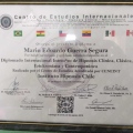 Acercar imagen: certificate 5