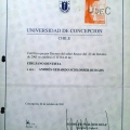 Acercar imagen: certificate 6