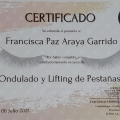 Acercar imagen: certificate 5