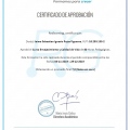 Acercar imagen: certificate 2