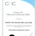 Acercar imagen: certificate 4