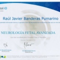 Acercar imagen: certificate 11