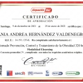 Acercar imagen: certificate 1