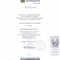 Acercar imagen: certificate 3