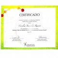 Acercar imagen: certificate 5