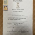 Acercar imagen: certificate 9
