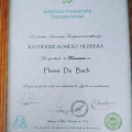 Acercar imagen: certificate 2