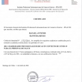 Acercar imagen: certificate 30