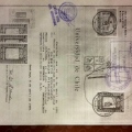 Acercar imagen: certificate 19